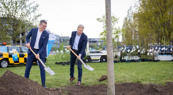Hannover Airport feiert 70. Geburtstag Die beiden Geschäftsführer Dr. Raoul Hille (rechts) und Prof. Dr. Martin Roll pflanzten die Rotbuche.