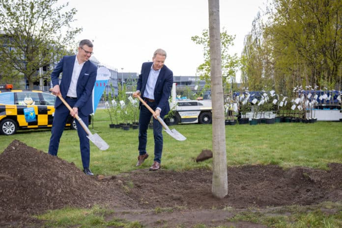 Die beiden Geschäftsführer Dr. Raoul Hille (rechts) und Prof. Dr. Martin Roll pflanzten die Rotbuche.