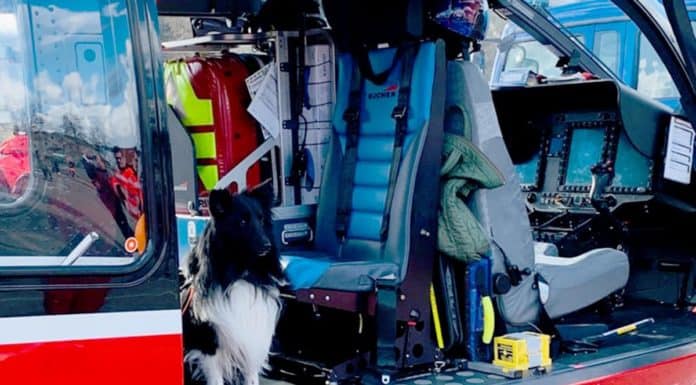 DRF verzeichnet Interesse an Rettungshubschraubern Bei den Aktionstagen in Kelheim war auch der DRF e.V.