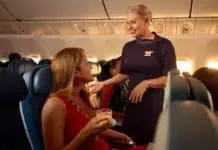 Delta Main Cabin Service