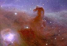 Der Pferdekopfnebel im Orion ist Teil einer großen kalten Gas- und Staubwolke, die in weiß-orangen Farben sichtbar ist. Aus dem Nebel in der unteren Hälfte des Bildes zeichnet sich eine orangefarbene Wolke in Form eines Pferdekopfes ab. Dieser Nebel hüllt junge Sterne wie in einen Kokon. Viele andere Teleskope haben Bilder des Pferdekopfnebels aufgenommen. Aber keines von ihnen ist in der Lage, ein so scharfes und weiteräumiges Bild mit nur einer Beobachtung wie dieses zu erzeugen.