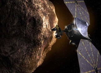 Asteroid flyby of NASA's Lucy mission