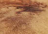 Perspective view of dust devil tracks in Chalcoporos Rupes