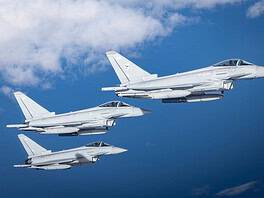 Cobra Warrior - Eurofighter