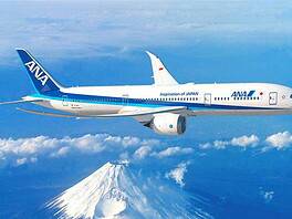 ANA Boeing 787