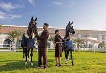 Etihad Airways: Offizielle Partnerschaft mit dem Abu Dhabi Gold Cup Etihad Airways wird offizieller Partner und Sponsor des ersten Rennens beim Abu Dhabi Gold Cup