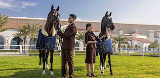Etihad Airways wird offizieller Partner und Sponsor des ersten Rennens beim Abu Dhabi Gold Cup